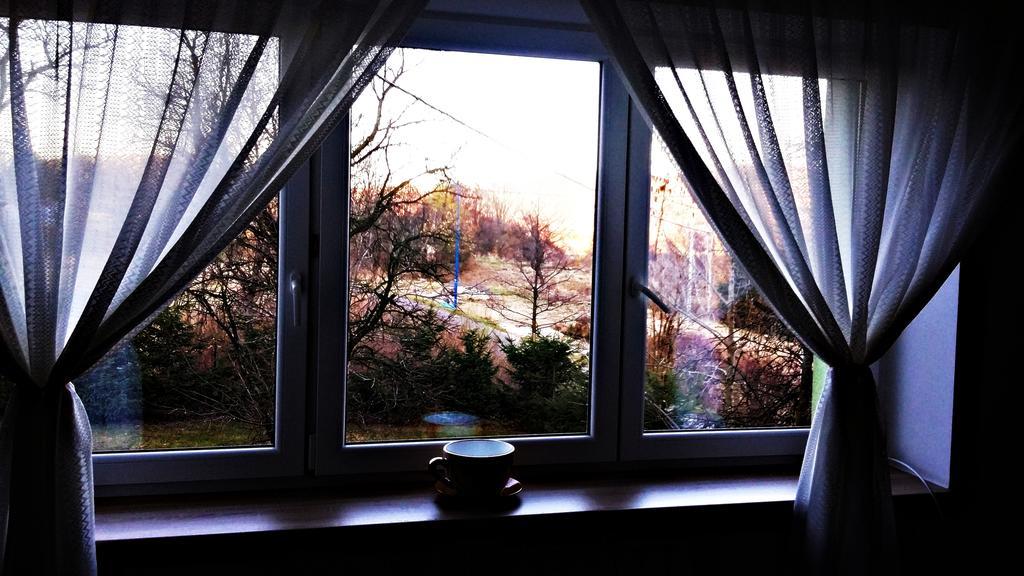 Mieszkanko Nad Sliwka Stronie Śląskie エクステリア 写真